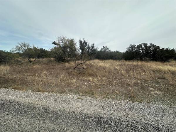 Brownwood, TX 76801,TBD lots 28, 30 County Road 589