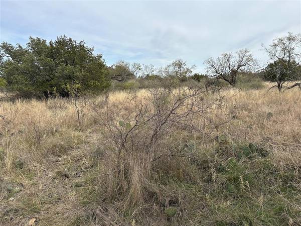 Brownwood, TX 76801,TBD lots 28, 30 County Road 589