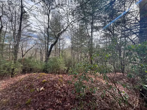 Brasstown, NC 28902,Lot 31 Fox Hunter Lane