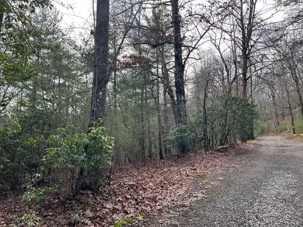 Brasstown, NC 28902,Lot 31 Fox Hunter Lane