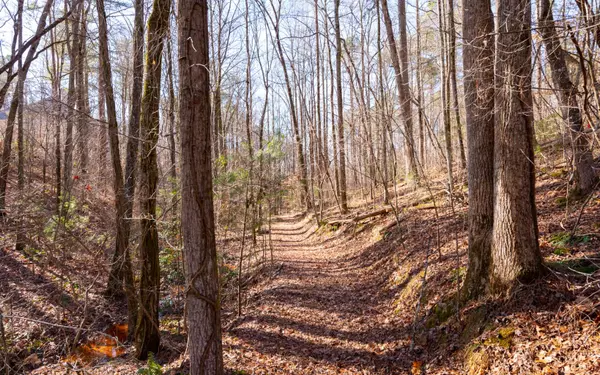 Talking Rock, GA 30175,0 Mountain Creek Hollow