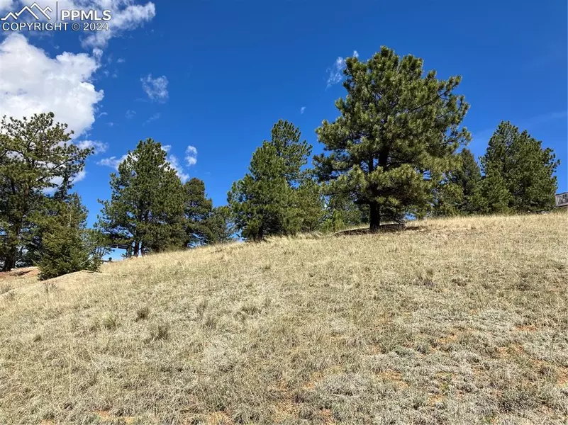 61 Silbani LN, Florissant, CO 80816