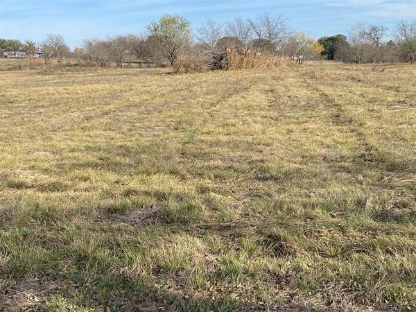 Hico, TX 76457,TBD Tract 2 Sycamore