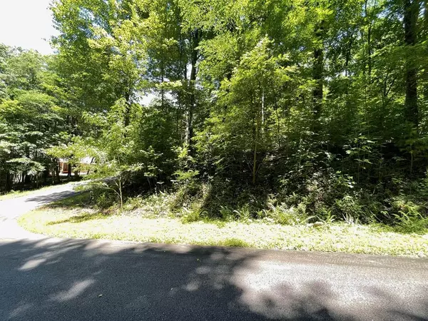 Lot 4 Fodder Creek Mill Drive,  Hiawassee,  GA 30546