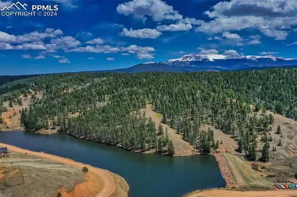 Divide, CO 80814,55 Badger Lake CIR