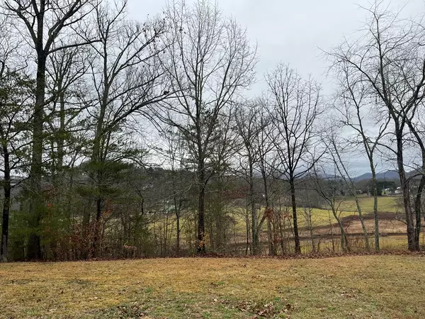 Hayesville, NC 28904,Lot 24 Arden Lane