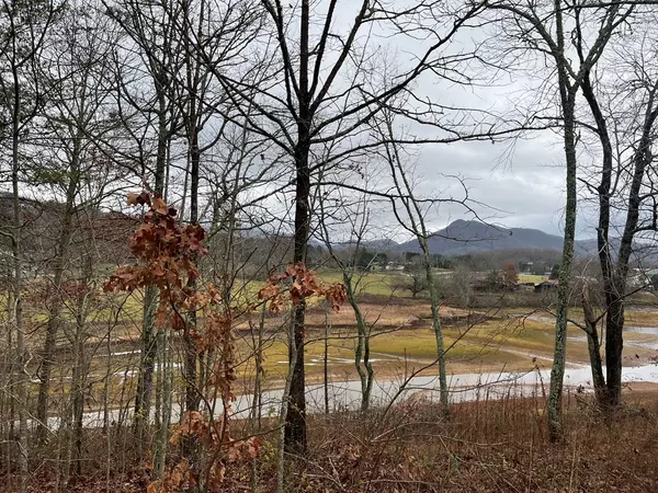 Hayesville, NC 28904,Lot 24 Arden Lane