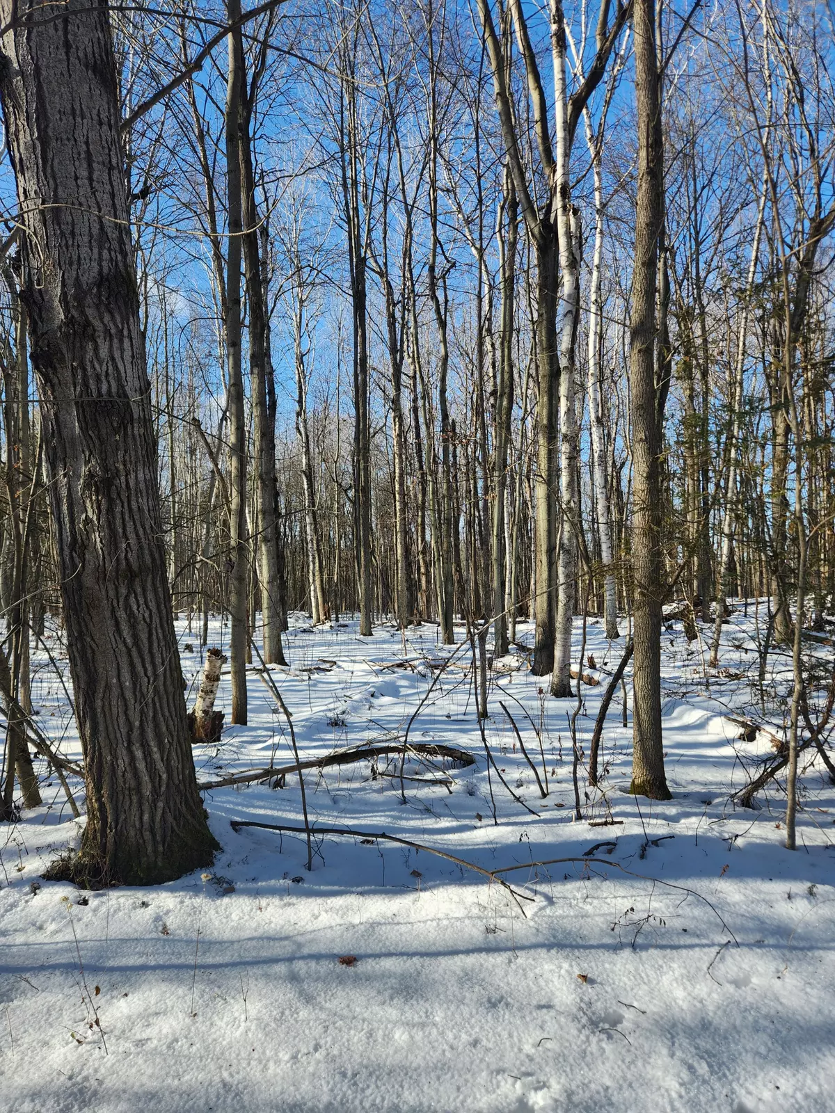 Rideau Lakes, ON K0E 1N0,LOT Cedar Sands Rdwy WAY