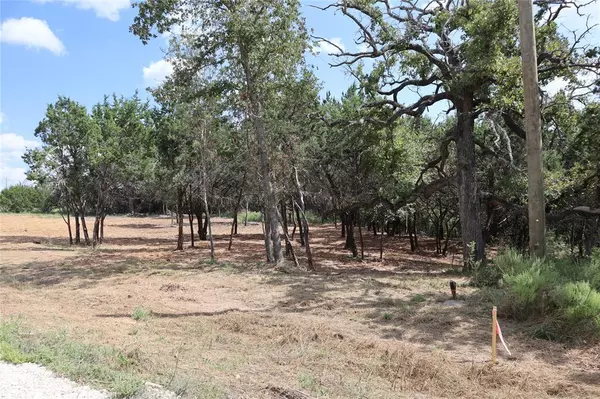 Nemo, TX 76043,Lot 127, 1186 County Road 407A