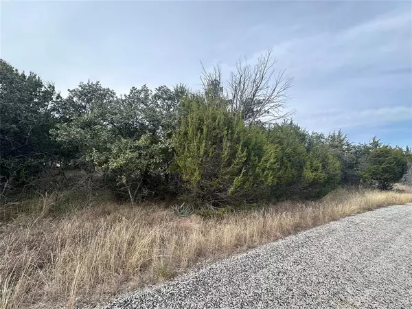 Brownwood, TX 76801,TBD Lot 12 County Road 611