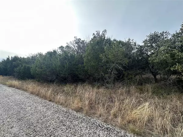 Brownwood, TX 76801,TBD Lot 12 County Road 611