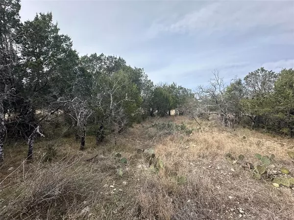 Brownwood, TX 76801,TBD Lot 12 County Road 611