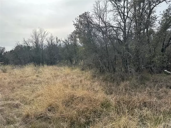 Brownwood, TX 76801,TBD Lot 60 County Road 600