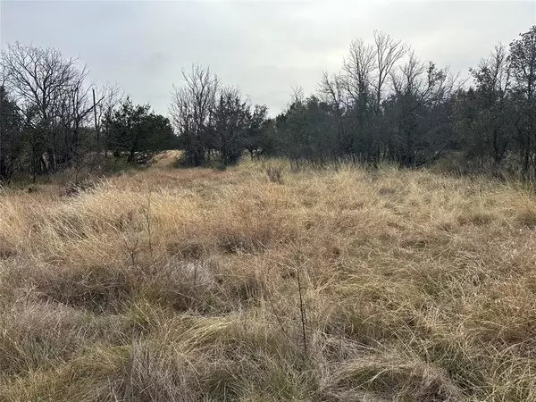 Brownwood, TX 76801,TBD Lot 60 County Road 600