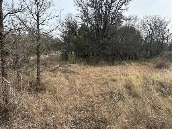 Brownwood, TX 76801,TBD Lot 60 County Road 600