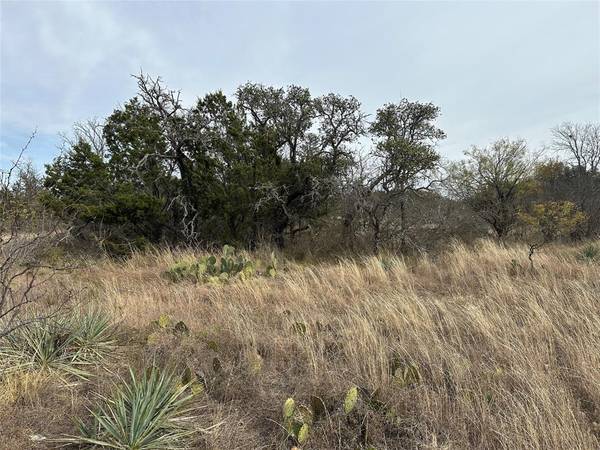 Brownwood, TX 76801,TBD Lot 40 County Road 600