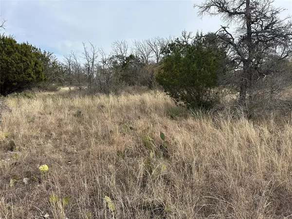 Brownwood, TX 76801,TBD Lot 32 County Road 600