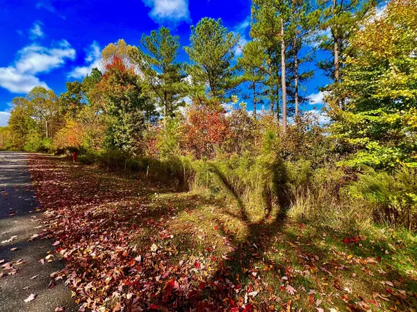 Blairsville, GA 30512,59 Ridge Peak View