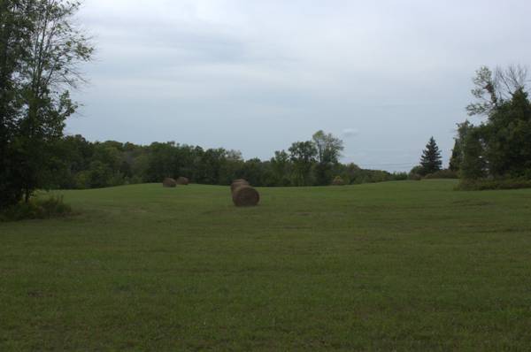 LOT 29 CON 4 MORAN RD, Rideau Lakes, ON K0G 1L0