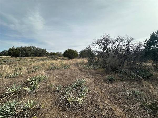 Brownwood, TX 76801,TBD Lot 45 County Road 589