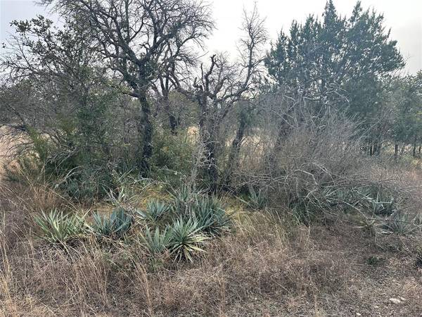 Brownwood, TX 76801,TBD Lot 45 County Road 589