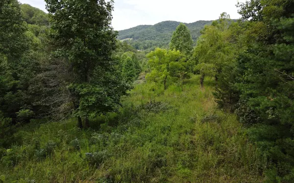 TBD Downings Creek, Hayesville, NC 28904