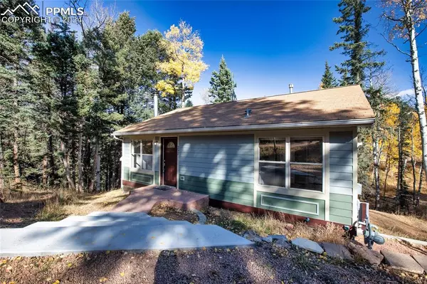 297 Banner TRL, Florissant, CO 80816