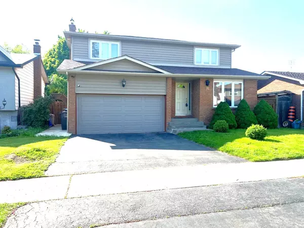 126 Charters RD #Lower, Brampton, ON L6V 2S5