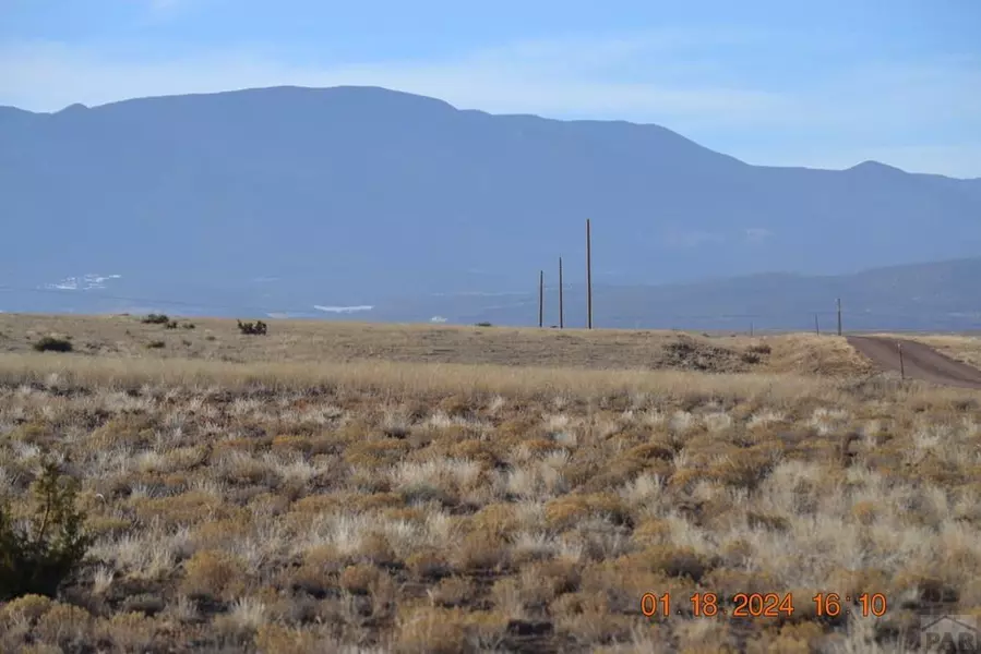 Lot 19 Pickney Rd, Rye, CO 81019