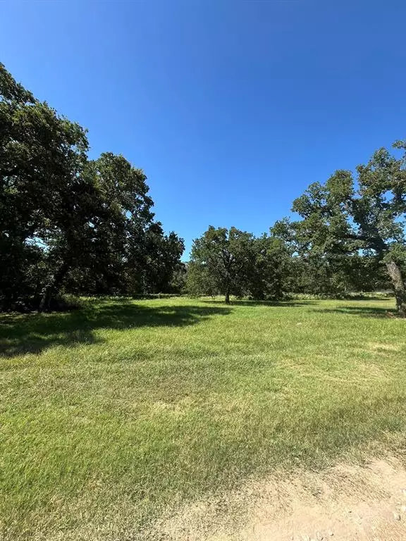 Boyd, TX 76023,102 Dove Meadow Lane