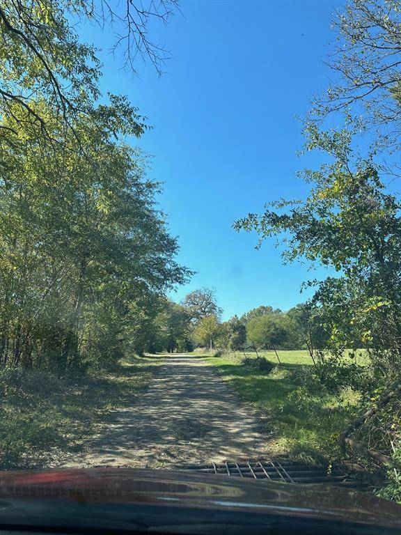 CR 142D-1 Path, Overton, TX 75662