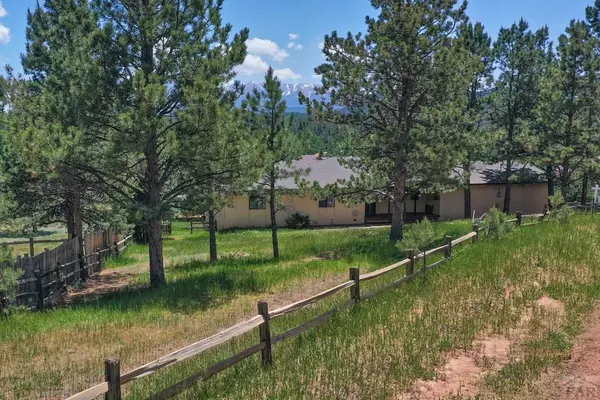 Woodland Park, CO 80863,399 Apache Trail