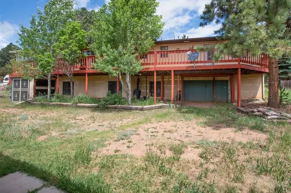 Woodland Park, CO 80863,399 Apache Trail