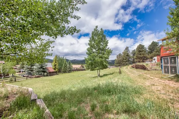 Woodland Park, CO 80863,399 Apache Trail