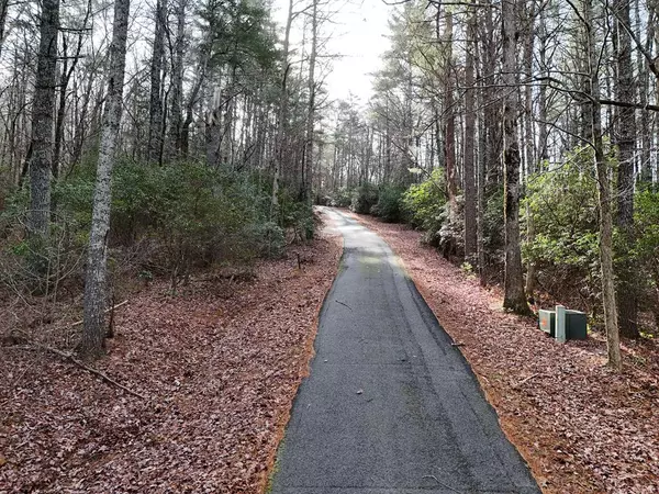 Lot 3 Papas Mountain Road, Blairsville, GA 30512