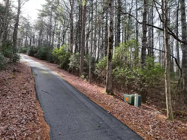 Blairsville, GA 30512,Lot 3 Papas Mountain Road