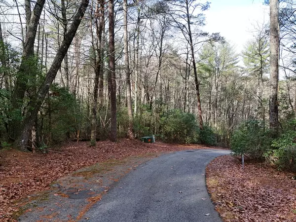 Blairsville, GA 30512,Lot 3 Papas Mountain Road