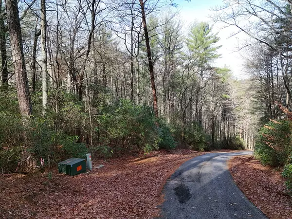 Blairsville, GA 30512,Lot 3 Papas Mountain Road