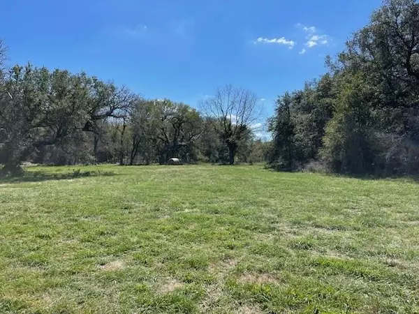 Dublin, TX 76446,Lot 3 Highway 6