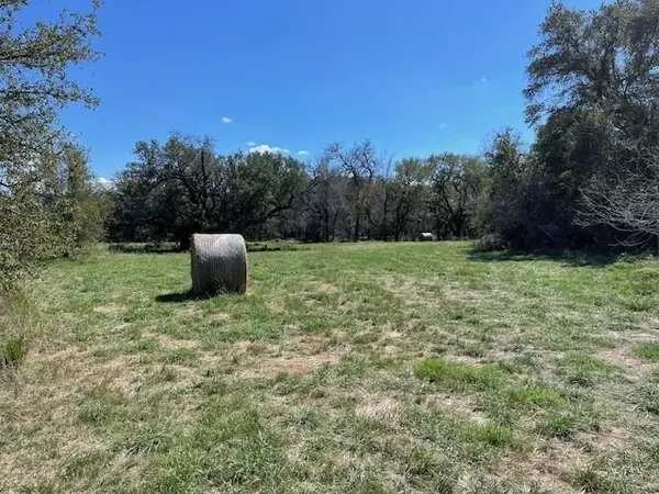 Dublin, TX 76446,Lot 3 Highway 6