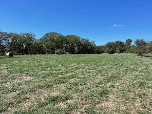 Dublin, TX 76446,Lot 3 Highway 6