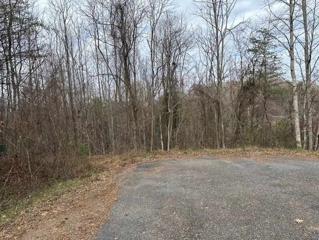 Hiawassee, GA 30546,0 Overlook Trail