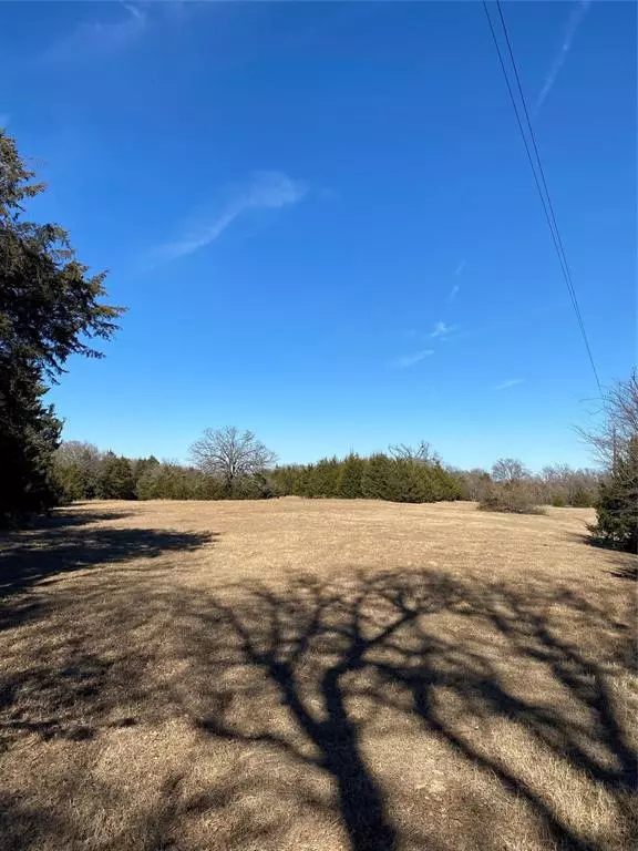 Ivanhoe, TX 75447,TBD County Road 2100