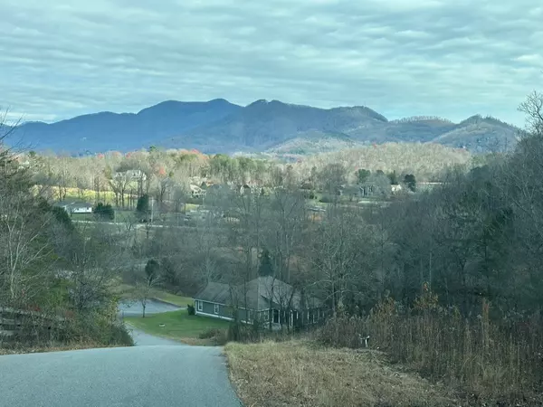 Hiawassee, GA 30546,0 Overlook Trail