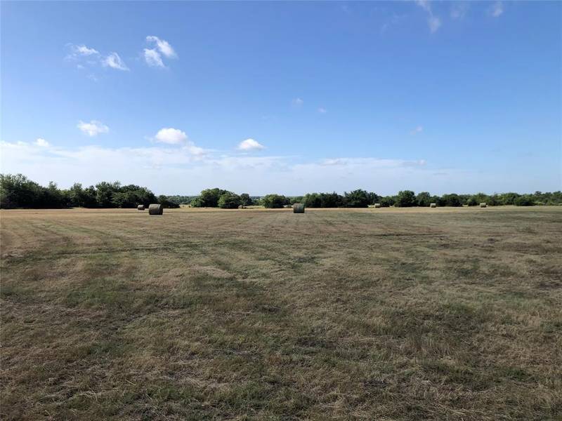 6873 County Road 1135, Leonard, TX 75452