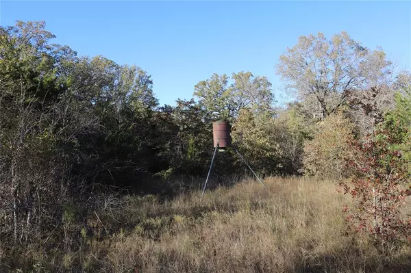 Sunset, TX 76270,30 Acres Keys Road