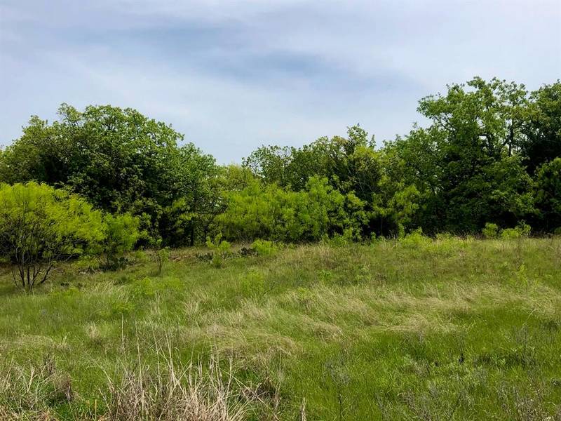 Lot 7 Jaybird Road, Bowie, TX 76230