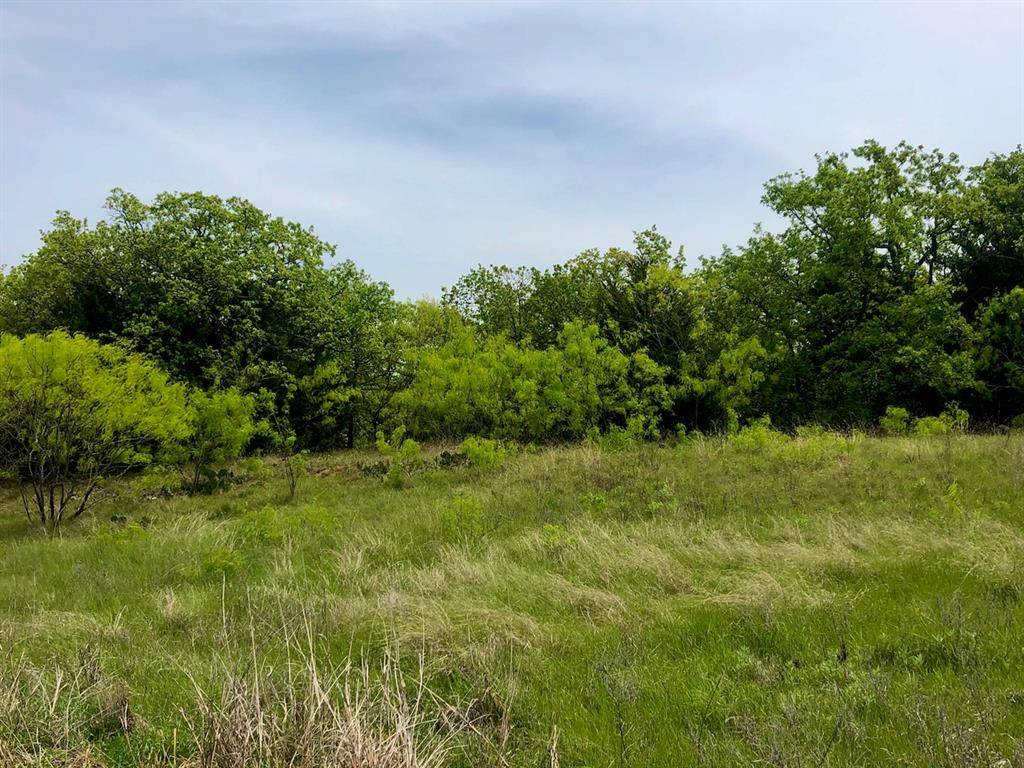 Bowie, TX 76230,Lot 7 Jaybird Road