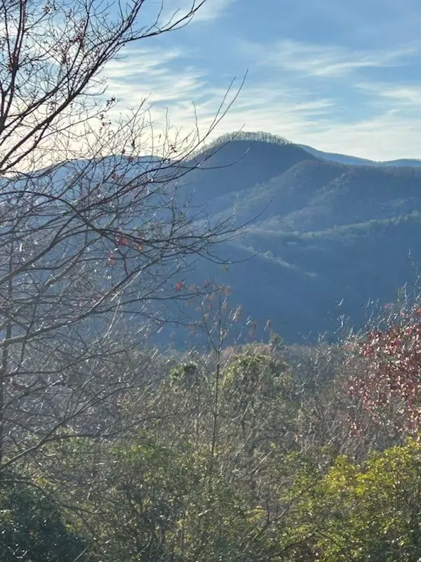 Hiawassee, GA 30546,8 The Ridges /Bill Bro