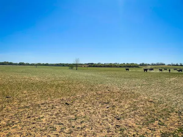 Cisco, TX 76437,TBD CR 254